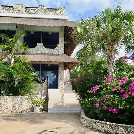 The Wild Orchid Resort - Moalboal