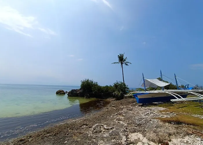 The Wild Orchid - * Moalboal
