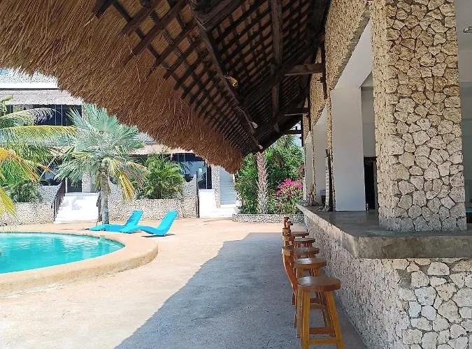 The Wild Orchid - * Moalboal