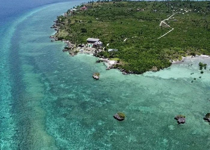 Resort The Wild Orchid -