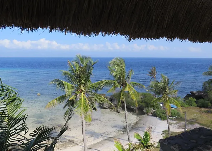 The Wild Orchid - * Moalboal