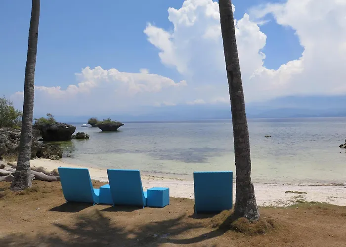 The Wild Orchid - Moalboal