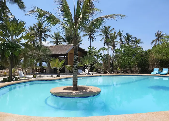 The Wild Orchid - Moalboal