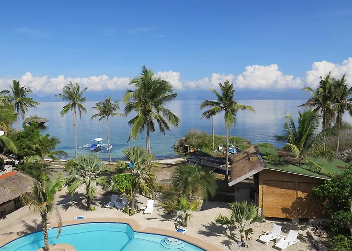 The Wild Orchid - Resort Moalboal