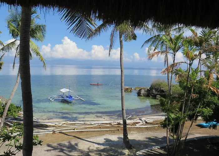 The Wild Orchid - Moalboal