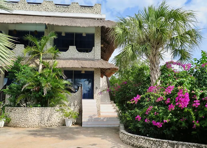 The Wild Orchid - * Moalboal
