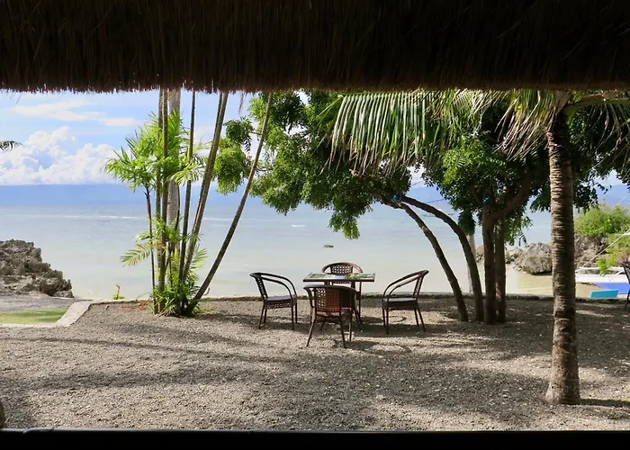The Wild Orchid - Moalboal