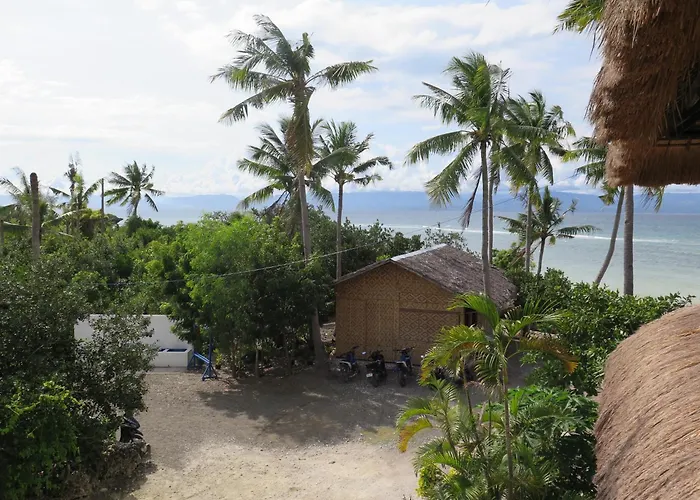 The Wild Orchid - * Moalboal