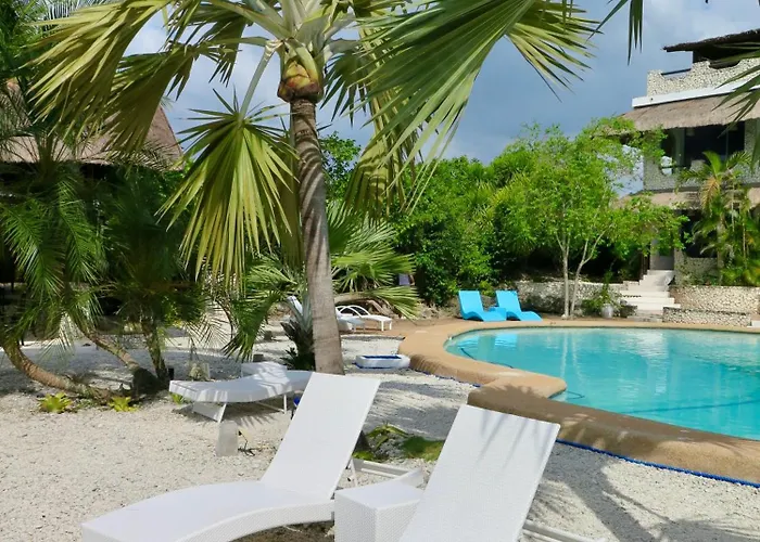 Resort The Wild Orchid - *